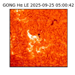 gong - 2025-09-25T05:00:42