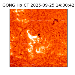 gong - 2025-09-25T14:00:42