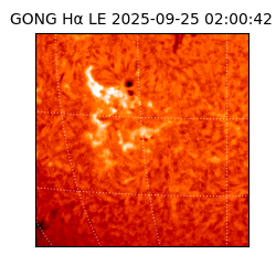 gong - 2025-09-25T02:00:42
