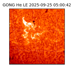 gong - 2025-09-25T05:00:42