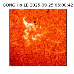 gong - 2025-09-25T06:00:42