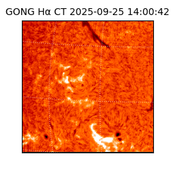 gong - 2025-09-25T14:00:42