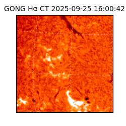 gong - 2025-09-25T16:00:42