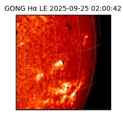 gong - 2025-09-25T02:00:42