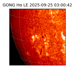 gong - 2025-09-25T03:00:42