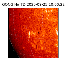 gong - 2025-09-25T10:00:22