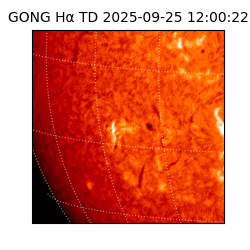 gong - 2025-09-25T12:00:22