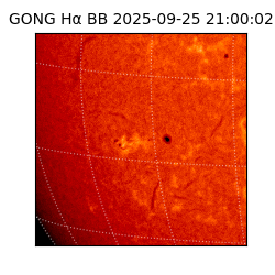 gong - 2025-09-25T21:00:02