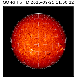 gong - 2025-09-25T11:00:22