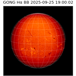 gong - 2025-09-25T19:00:02