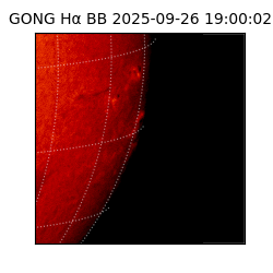 gong - 2025-09-26T19:00:02