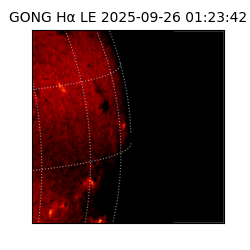 gong - 2025-09-26T01:23:42
