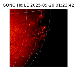 gong - 2025-09-26T01:23:42