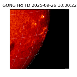 gong - 2025-09-26T10:00:22