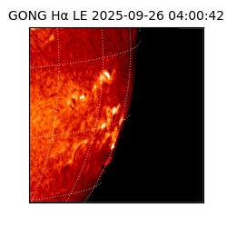 gong - 2025-09-26T04:00:42