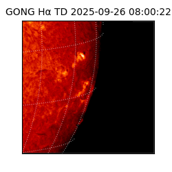 gong - 2025-09-26T08:00:22