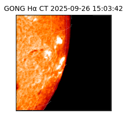 gong - 2025-09-26T15:03:42