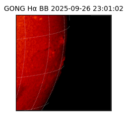 gong - 2025-09-26T23:01:02