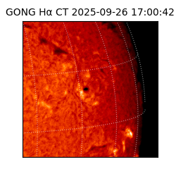gong - 2025-09-26T17:00:42