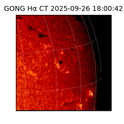 gong - 2025-09-26T18:00:42