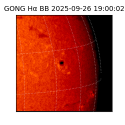 gong - 2025-09-26T19:00:02