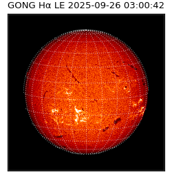 gong - 2025-09-26T03:00:42