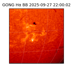 gong - 2025-09-27T22:00:02
