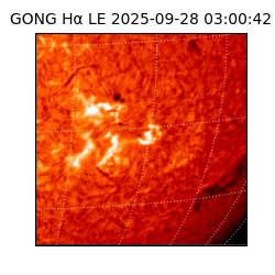 gong - 2025-09-28T03:00:42