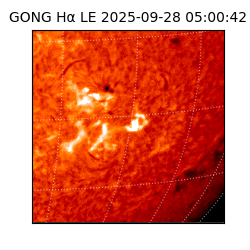 gong - 2025-09-28T05:00:42