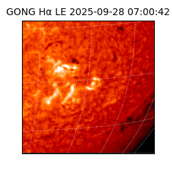 gong - 2025-09-28T07:00:42