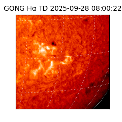 gong - 2025-09-28T08:00:22