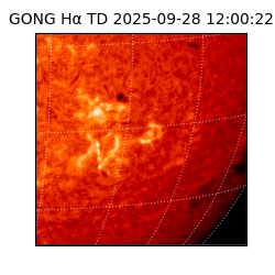 gong - 2025-09-28T12:00:22
