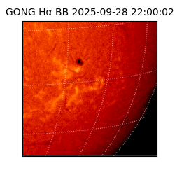 gong - 2025-09-28T22:00:02