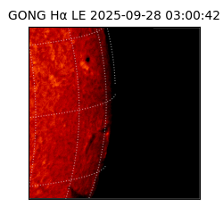 gong - 2025-09-28T03:00:42