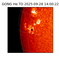 gong - 2025-09-28T14:00:22