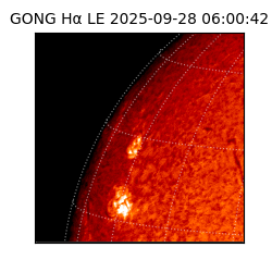 gong - 2025-09-28T06:00:42