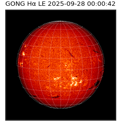gong - 2025-09-28T00:00:42
