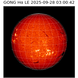 gong - 2025-09-28T03:00:42