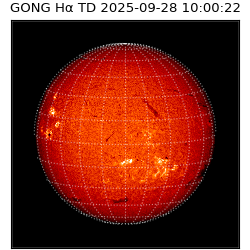 gong - 2025-09-28T10:00:22