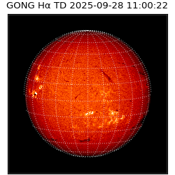 gong - 2025-09-28T11:00:22