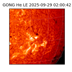 gong - 2025-09-29T02:00:42