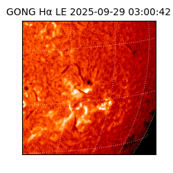 gong - 2025-09-29T03:00:42