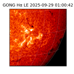 gong - 2025-09-29T01:00:42