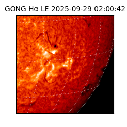 gong - 2025-09-29T02:00:42