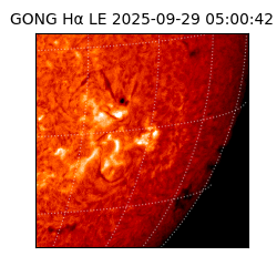 gong - 2025-09-29T05:00:42