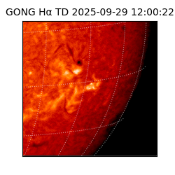 gong - 2025-09-29T12:00:22