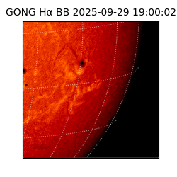gong - 2025-09-29T19:00:02