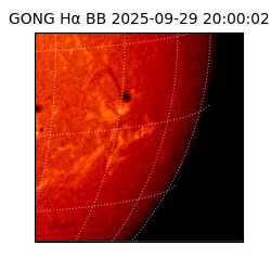 gong - 2025-09-29T20:00:02