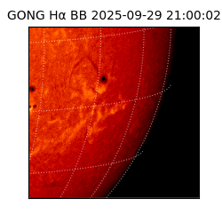 gong - 2025-09-29T21:00:02