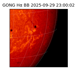 gong - 2025-09-29T23:00:02